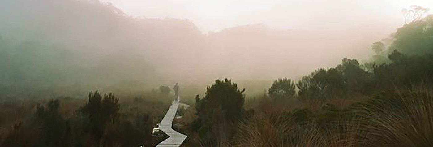 Home. Zita Cox Zeus Heaphy Track